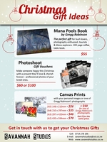 Christmas Gift Ideas with Savannah Studios