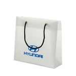 BAGS FOR PROMOTION