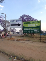 Free standing road signs