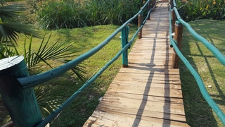 Wooden bridge in garden