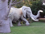 Lion and Elephant Motel - The Elephant