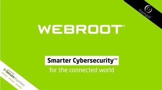 Webroot Antivirus Solution