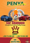 Penya Car Shampoo Poster