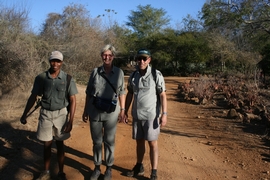 Safari Walk