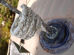 Geyser element damaged by lyme. Replaced on pressure geyser