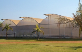 Multispan Greenhouse 