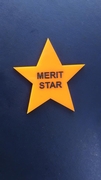 Merit Badge (unique shapes)