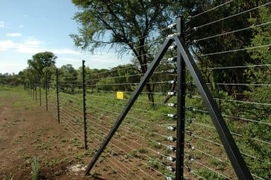 Electric fence