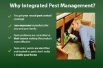 effective pest control