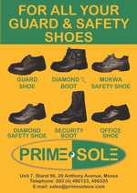 Guard and Safety Shoes